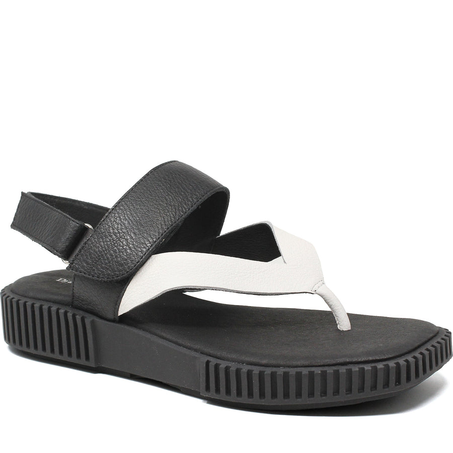 Quarter turn Women's Django & Juliette Footwear style name Ixia in color Almond-Black Sole Tumble Leath. Sku: DJ20295KE4DL